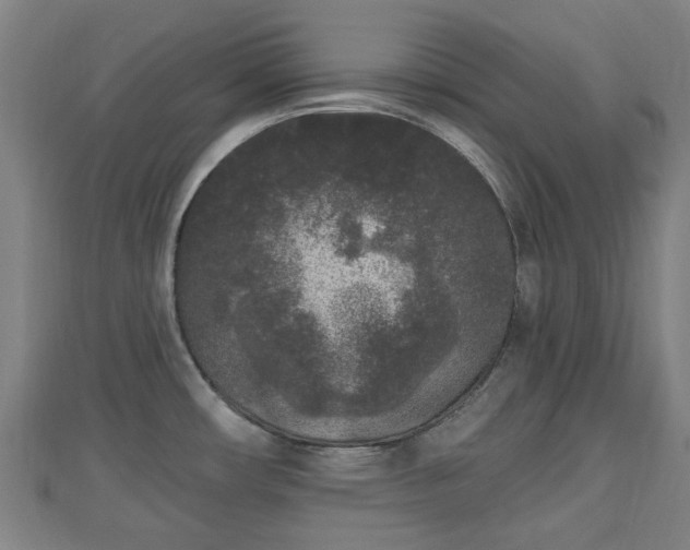 X0000110721482200906191455