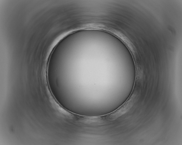 X0000110721486200906191455