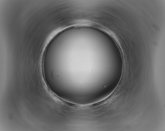 X0000110721488200906191455