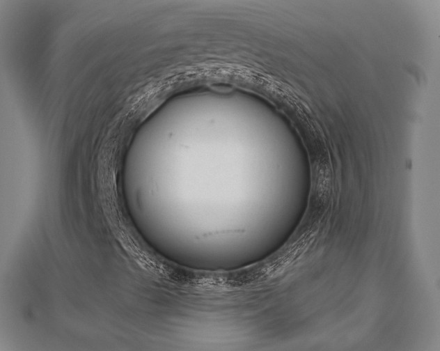 X0000110721489200906191454