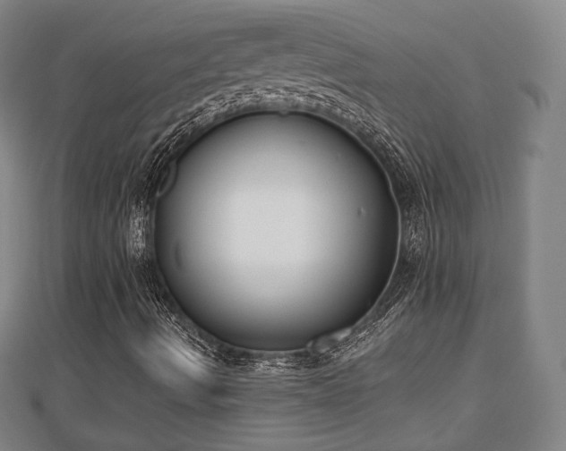 X0000110721490200906191454