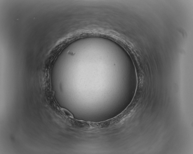 X0000110721494200906191455