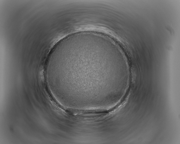 X0000110721497200906191455