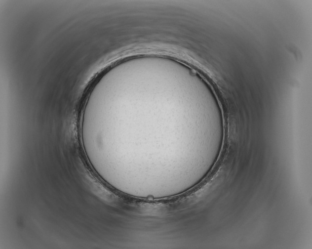 X0000110721498200906191455