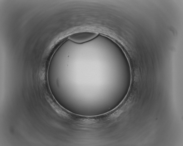 X0000110721499200906191455
