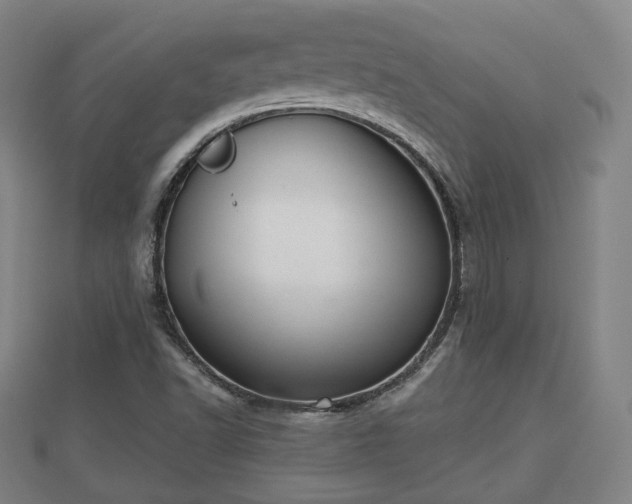 X0000110721502200906191455