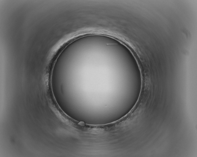 X0000110721503200906191455
