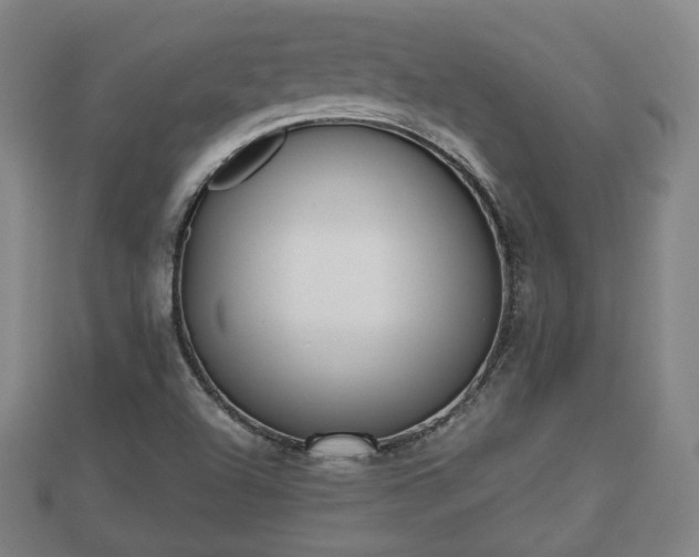 X0000110721504200906191455