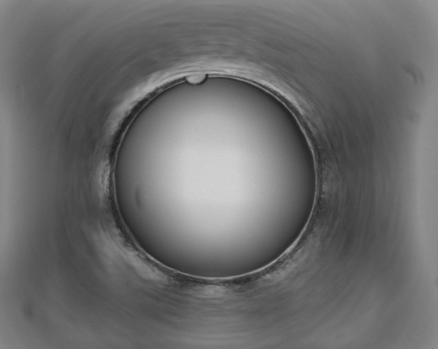 X0000110721507200906191455