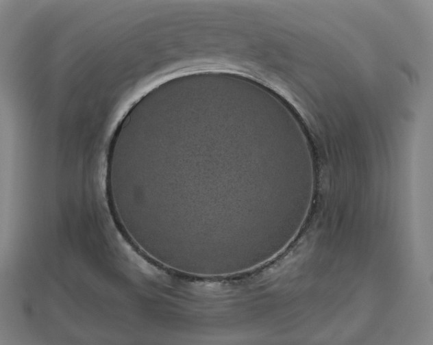 X0000110721508200906191455