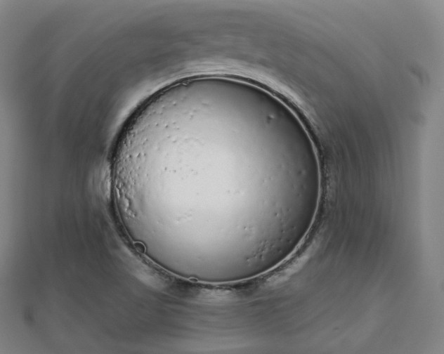 X0000110721509200906191455