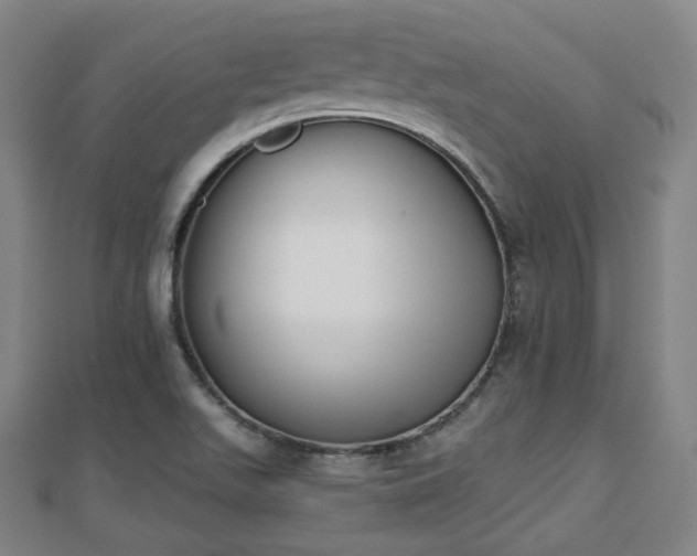 X0000110721511200906191455