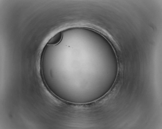 X0000110721512200906191455