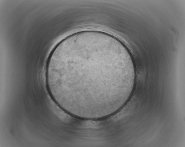 X0000110721514200906191455