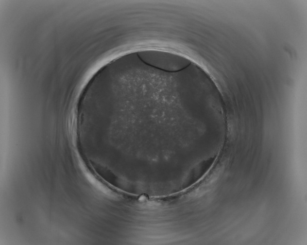 X0000110721515200906191455