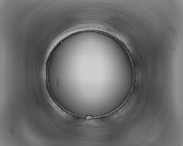 X0000110721516200906191455