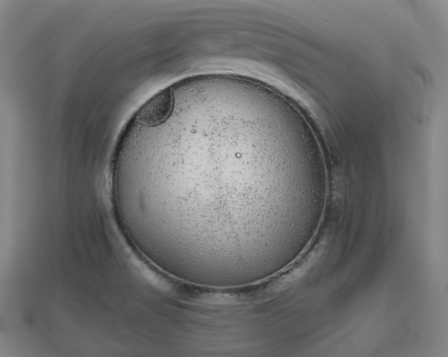 X0000110721517200906191455