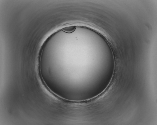 X0000110721518200906191455