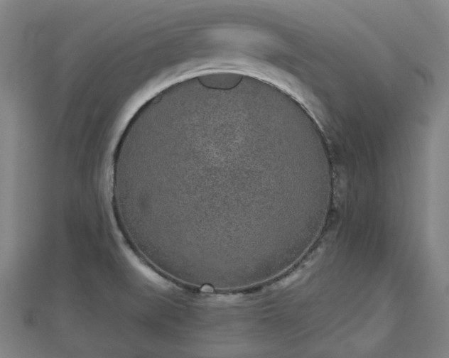 X0000110721519200906191455