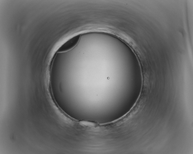 X0000110721520200906191455