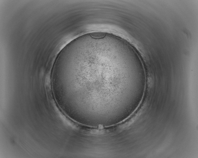 X0000110721521200906191455