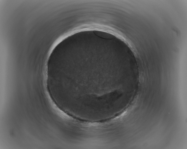 X0000110721522200906191455