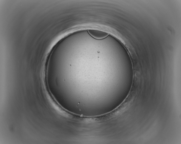 X0000110721523200906191455
