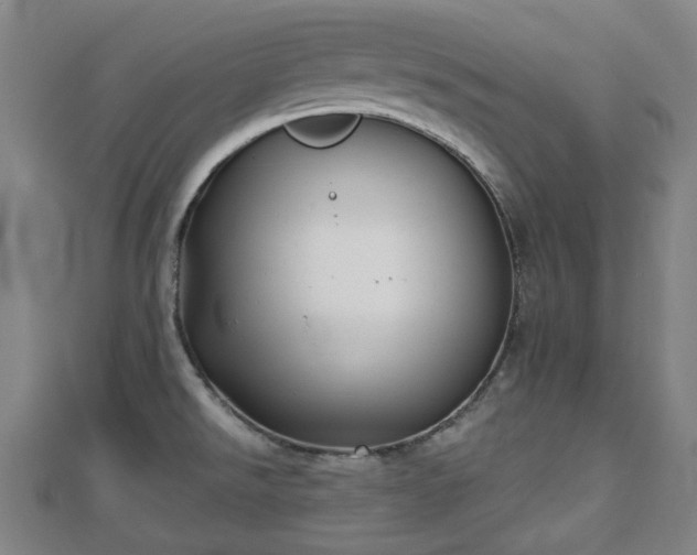 X0000110721526200906191455
