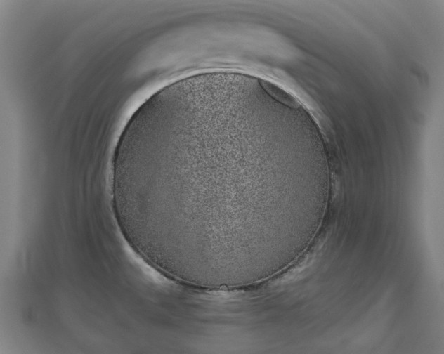 X0000110721527200906191455