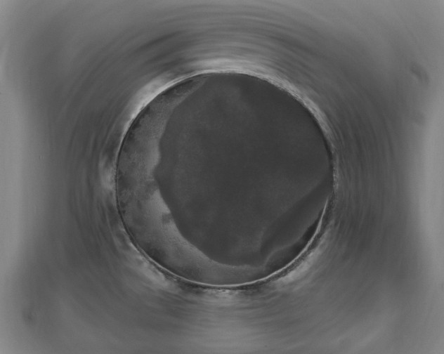 X0000110721529200906191455
