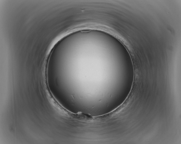 X0000110721530200906191455