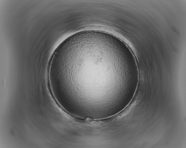 X0000110721533200906191455