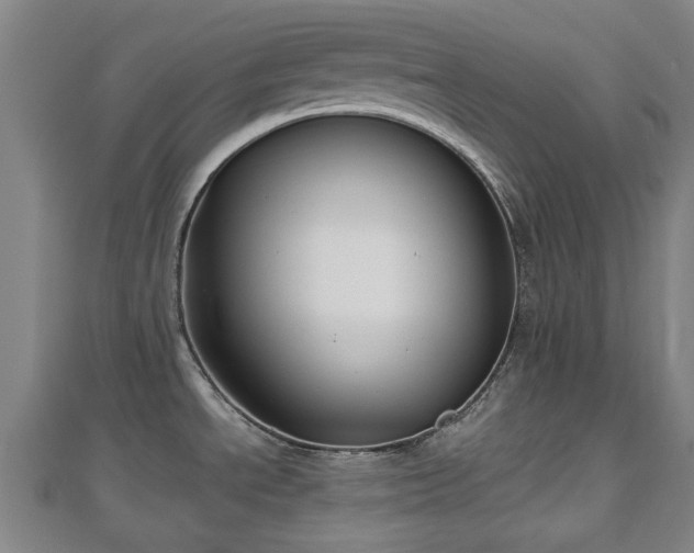 X0000110721534200906191455
