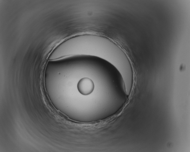 X0000110720001200906261506