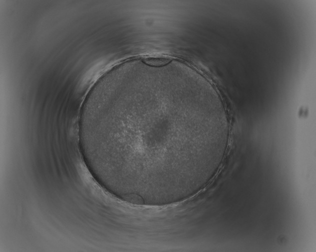 X0000110720002200906261506