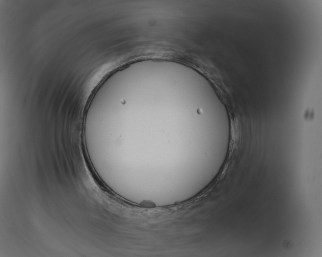 X0000110720003200906261506