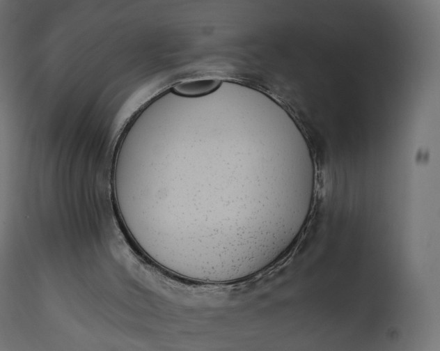 X0000110720004200906261506