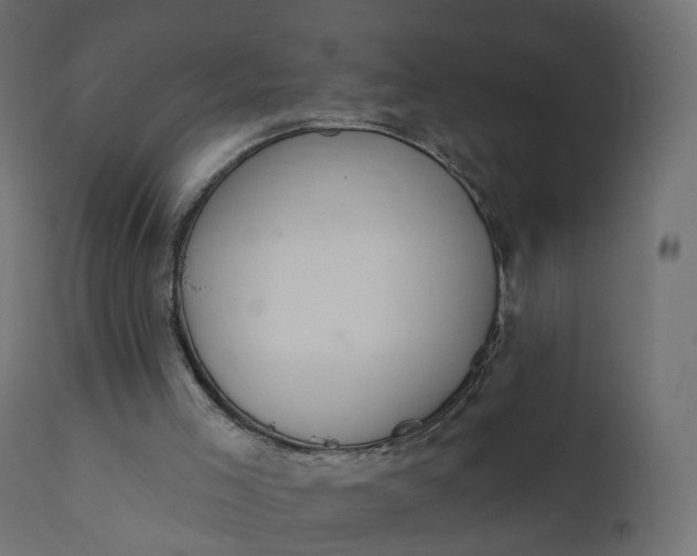 X0000110720005200906261506