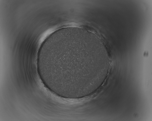 X0000110720006200906261506