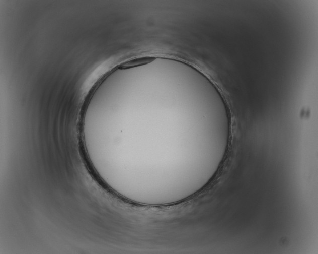 X0000110720007200906261506