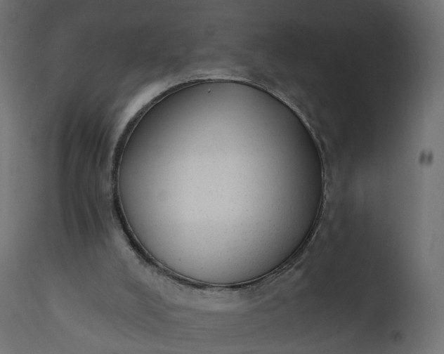 X0000110720008200906261506