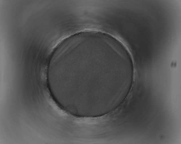 X0000110720009200906261506