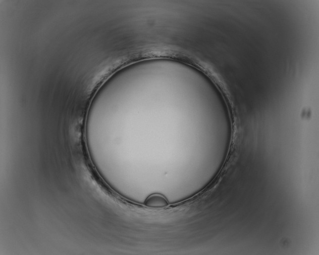 X0000110720010200906261506