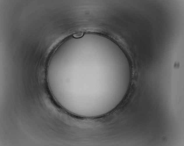 X0000110720012200906261506