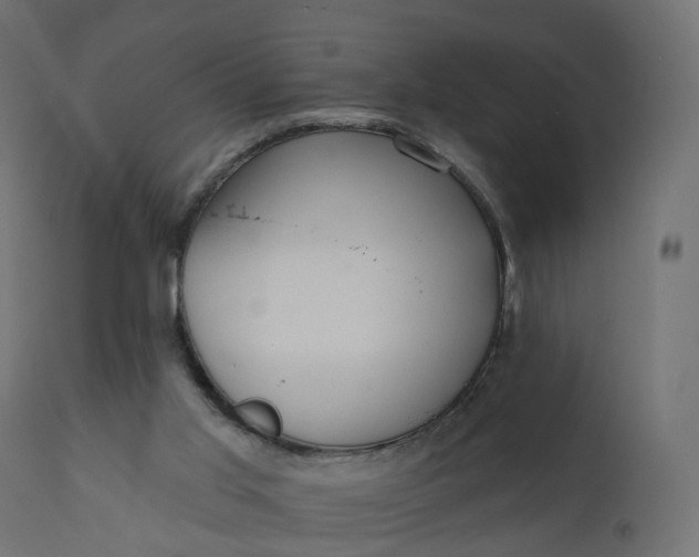 X0000110720013200906261506