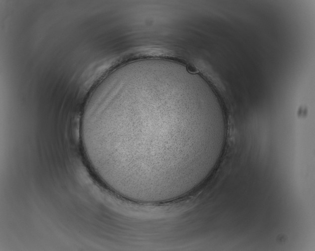 X0000110720014200906261506