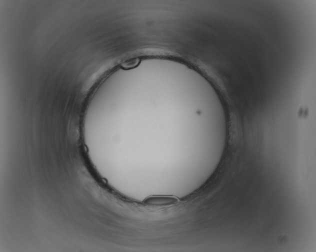 X0000110720015200906261506