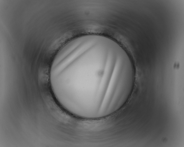 X0000110720017200906261506