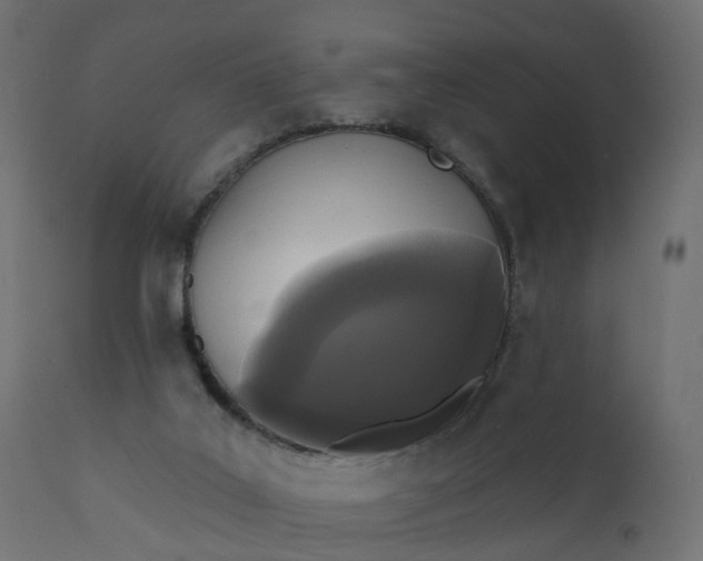 X0000110720019200906261506