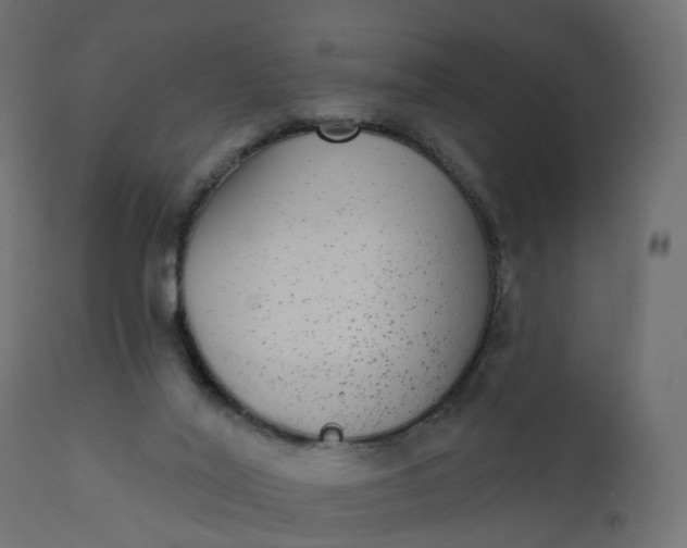 X0000110720020200906261506